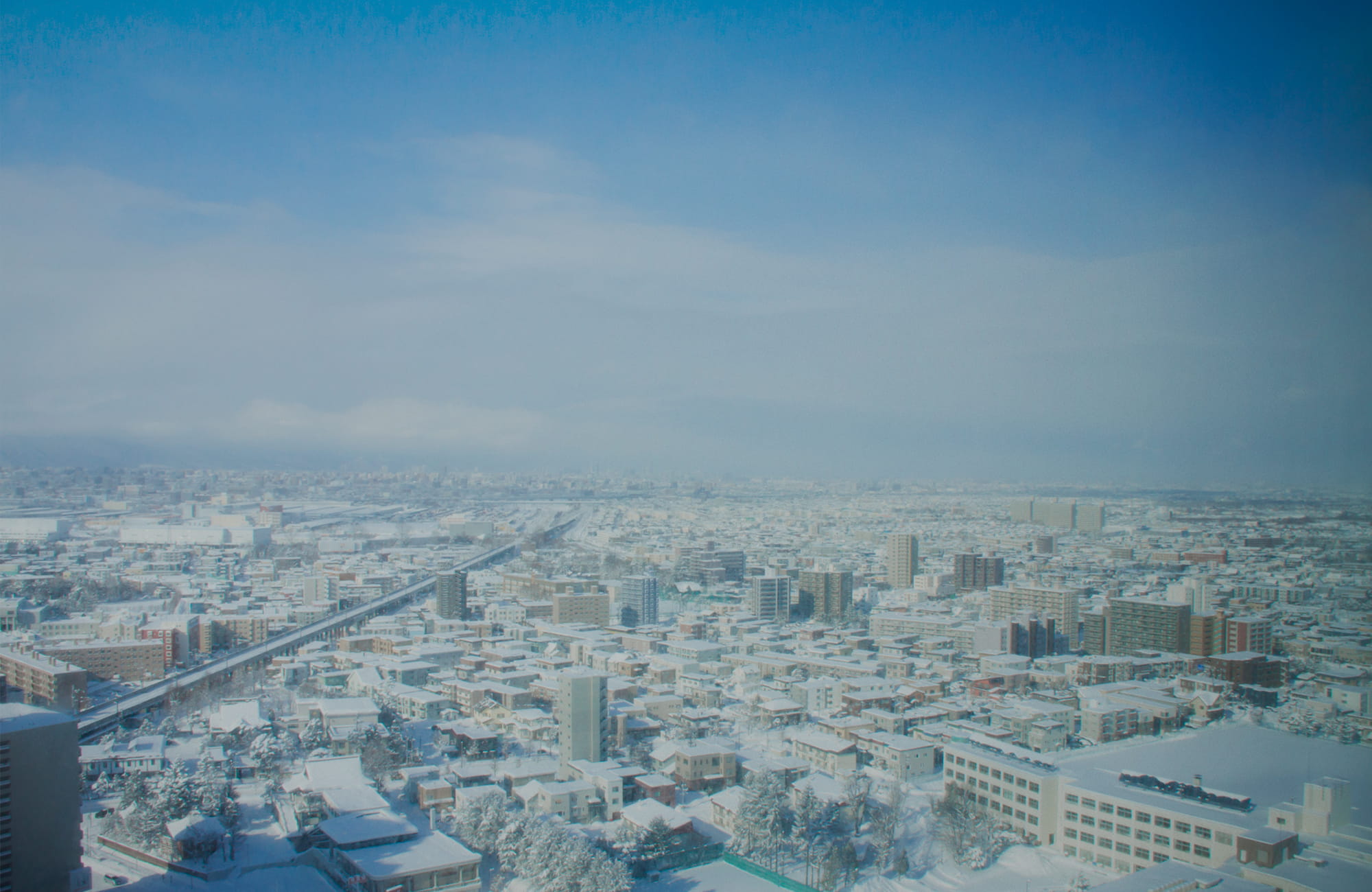 para_bg